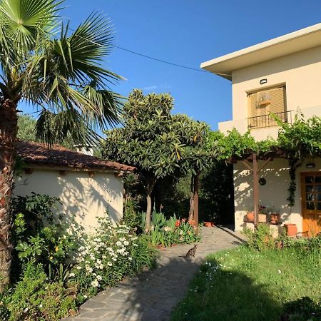 Villa Fatima Vryses Esterno foto